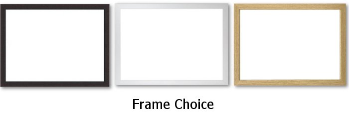Frame Choice